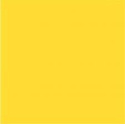 Żółty słoneczny - barwnik w proszku (25g)
