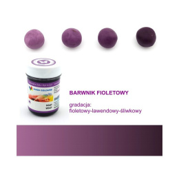 Fiolet - barwnik w żelu (35g) - Food Colours